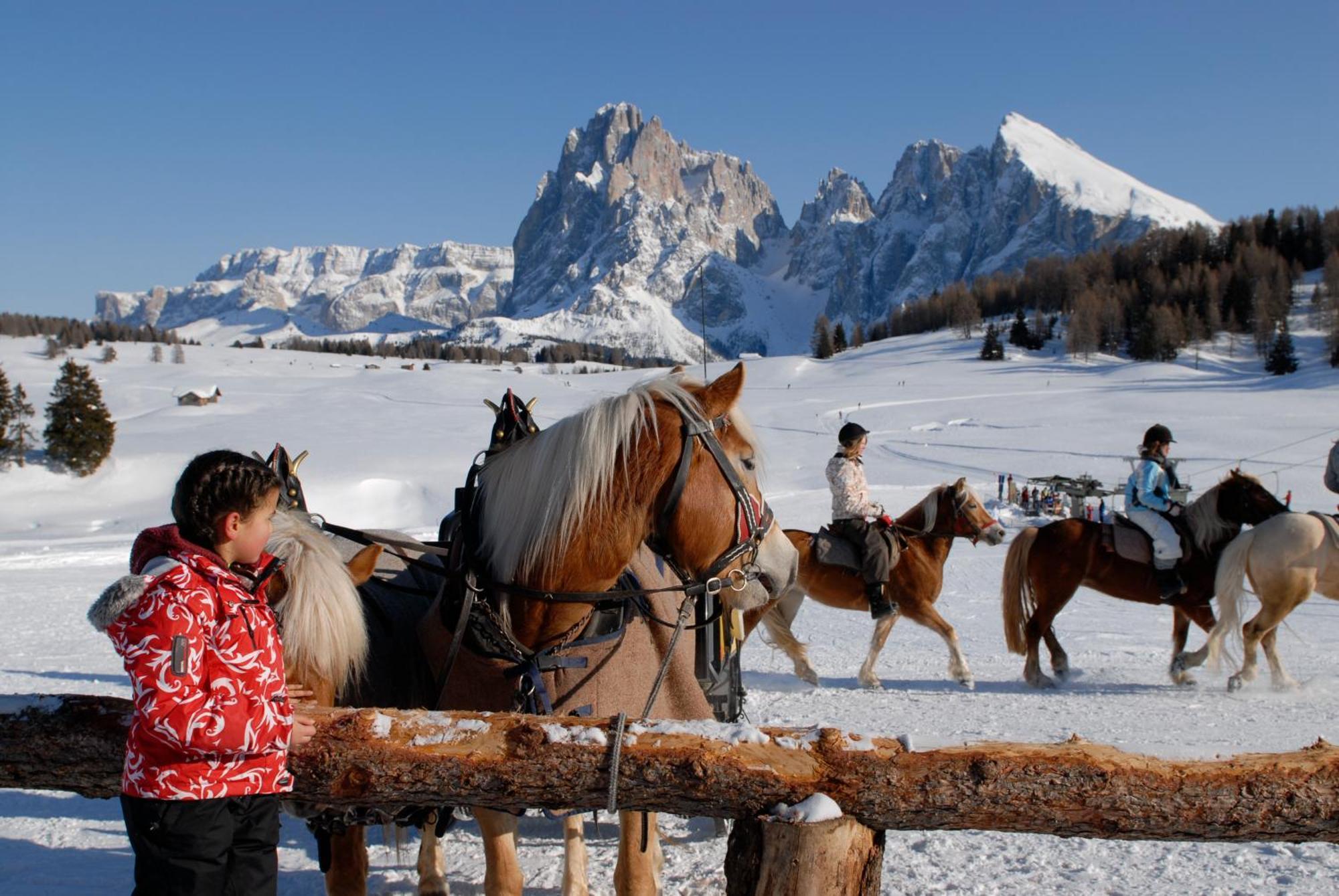 Dolomites Living Hotel Tirler 알페 디 시우시 외부 사진