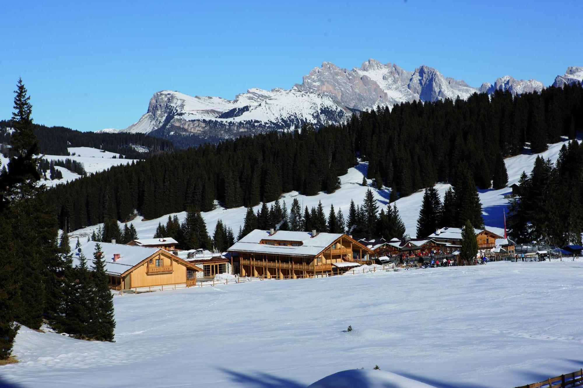 Dolomites Living Hotel Tirler 알페 디 시우시 외부 사진